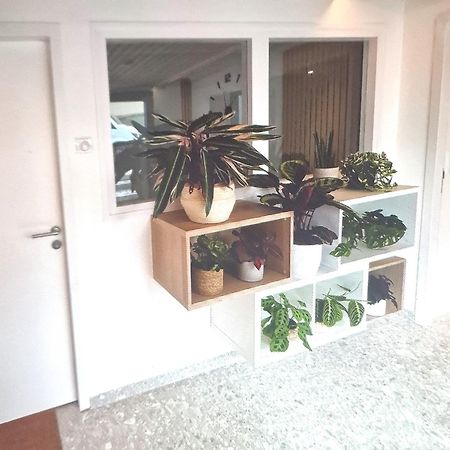 Moderne F3 - 10 Min Aeroport Cdg - Paris - Parc Asterix - Disneyland Paris - Tour Eiffel - Champs Elysee - 15 Min Parc Des Expositions Villepinte - 10 Min Le Bourget - 5 Min Du Golf International De Roissy- Jo 2024 Le Thillay Zewnętrze zdjęcie
